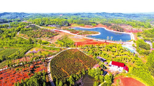 多產融合興旅游 城鄉一體繪新篇——大洪山風景名勝區打造城鄉融合發展先行區紀實