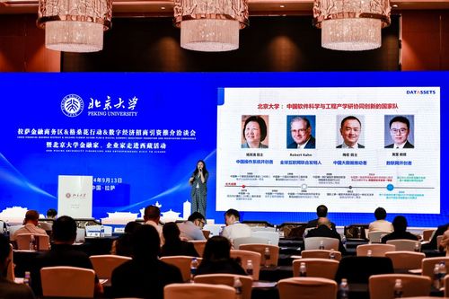 數(shù)字經(jīng)濟(jì)新引擎 2024拉薩金融商務(wù)區(qū)格桑花行動招商引資洽談會啟航